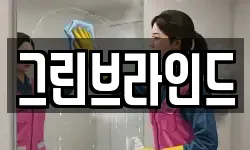 그린브라인드