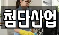 첨단산업