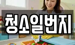 청소일번지