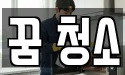 꿈 청소