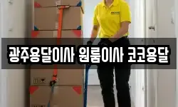 광주용달이사 원룸이사 코코용달