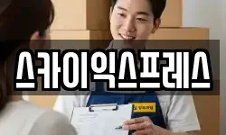 스카이익스프레스