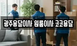 광주용달이사 원룸이사 코코용달