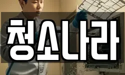 청소나라