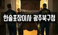 한솔포장이사 광주북구점