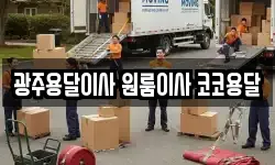 광주용달이사 원룸이사 코코용달