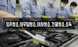 입주청소,사무실청소,이사청소,건물청소,소독
