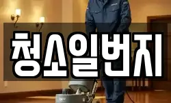 청소일번지
