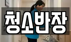 청소반장