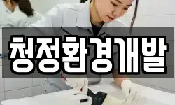 청정환경개발