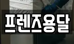프렌즈용달