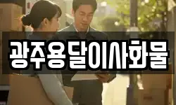 광주용달이사화물