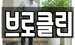 브로클린