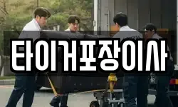 타이거포장이사