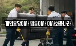 개인용달이사 원룸이사 이사화물나라