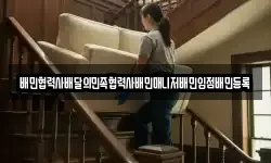 배민협력사배달의민족협력사배민매니저배민입점배민등록