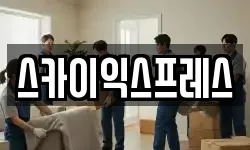 스카이익스프레스