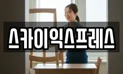 스카이익스프레스