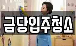 금당입주청소