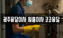 광주용달이사 원룸이사 코코용달