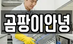 곰팡이안녕