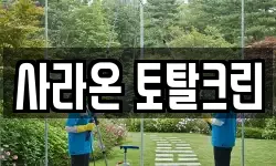 사라온 토탈크린