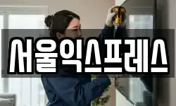 서울익스프레스
