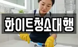 화이트청소대행