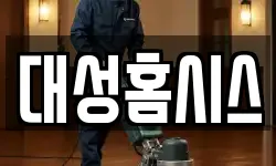 대성홈시스