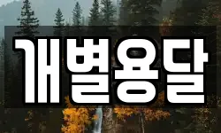개별용달