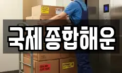 국제종합해운