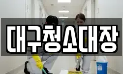 대구청소대장