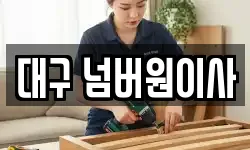 대구 넘버원이사