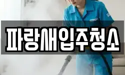 파랑새입주청소