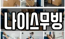 나이스무빙