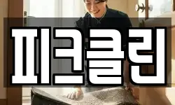피크클린