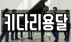 키다리용달