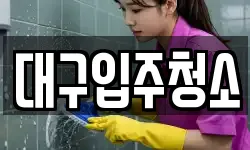 대구입주청소
