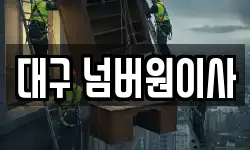 대구 넘버원이사
