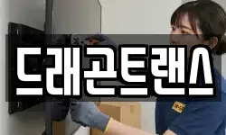드래곤트랜스