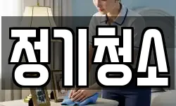 정기청소