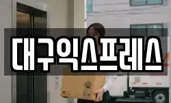 대구익스프레스