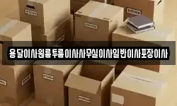 용달이사원룸투룸이사사무실이사일반이사포장이사