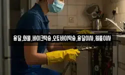 용달,화물,바이크탁송,오토바이탁송,용달이사,원룸이사