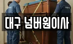 대구 넘버원이사
