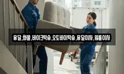 용달,화물,바이크탁송,오토바이탁송,용달이사,원룸이사