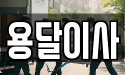 용달이사