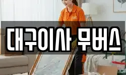 대구이사 무버스