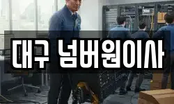 대구 넘버원이사