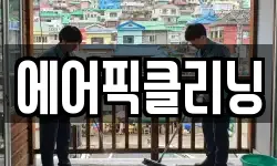 에어픽클리닝